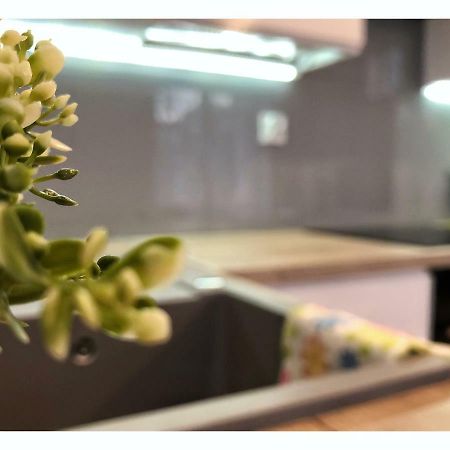 Apartament Przy Ratuszu 제수프 외부 사진